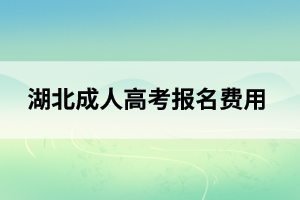 宜昌成人高考报名费用